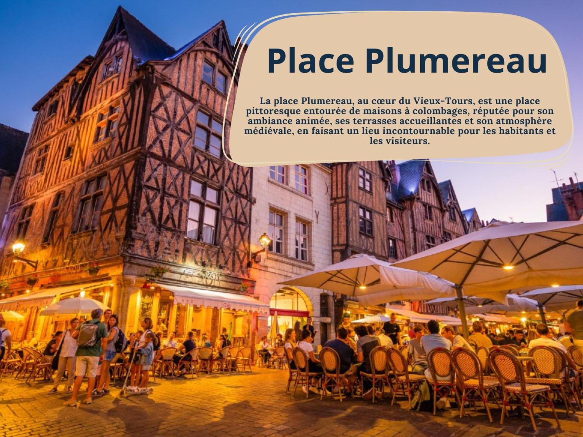 L'Oeillet - Place Plumereau Tours Exterior photo